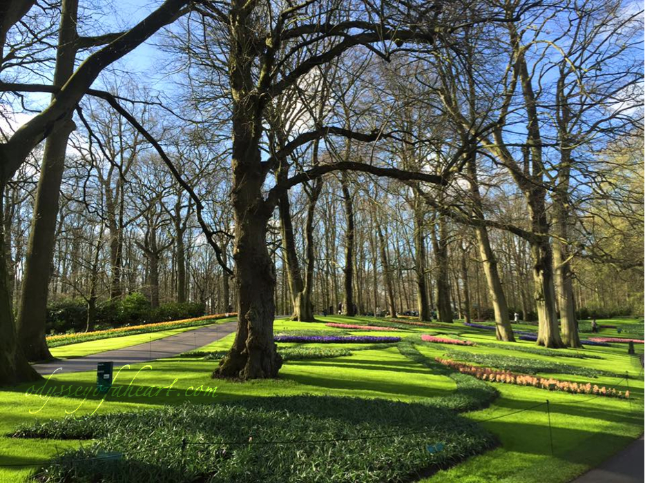 keukenhof3