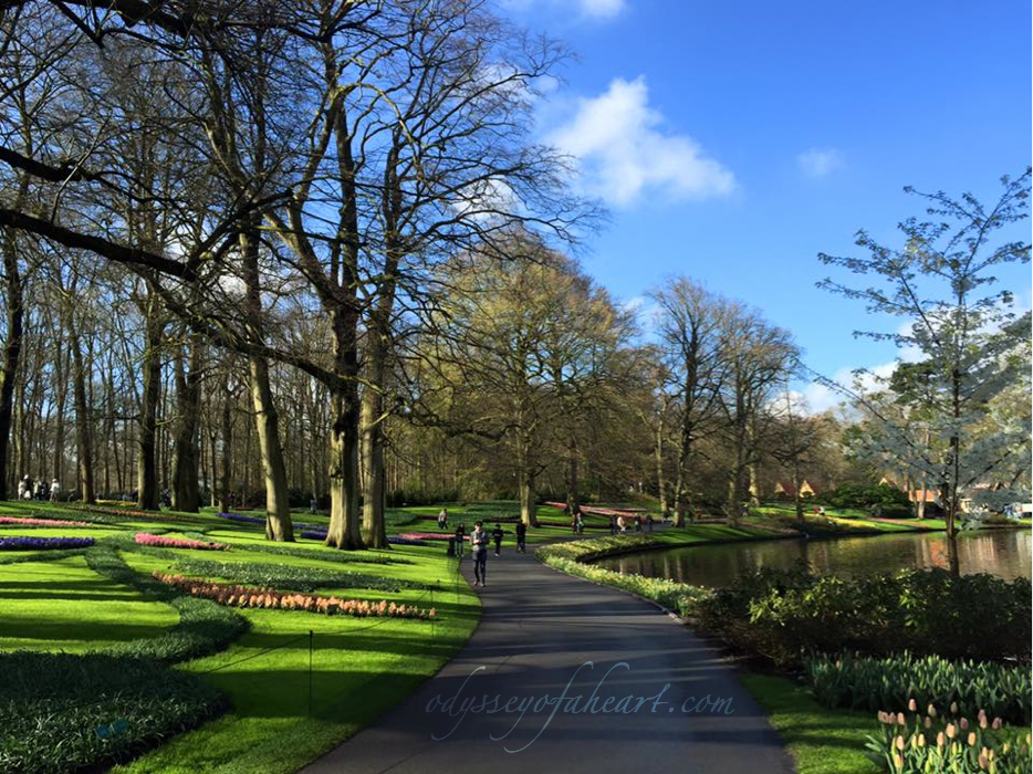 keukenhof4