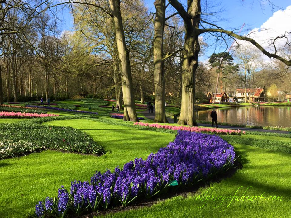 keukenhof5