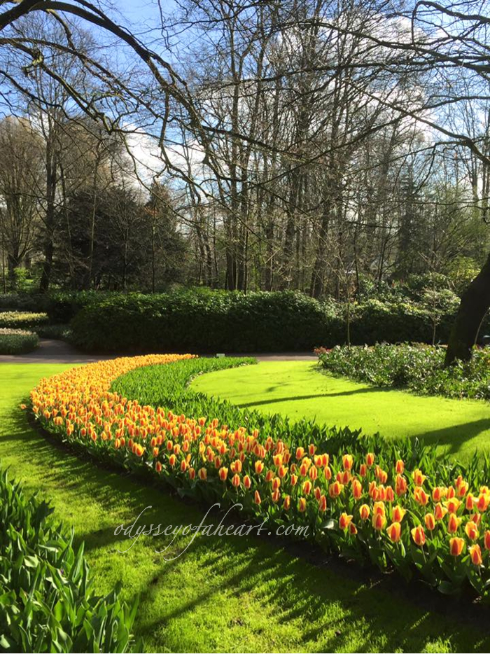 keukenhof7