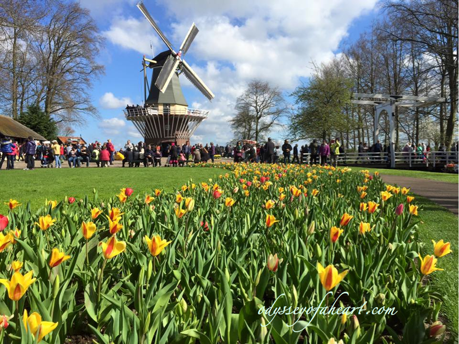 featured-keukenhof